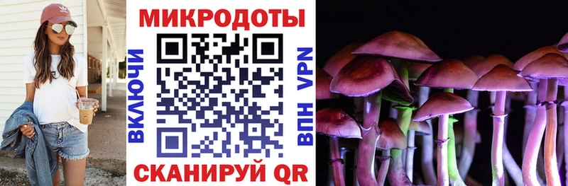 Купить где  Алексин  Псилоцибиновые грибы Cubensis 