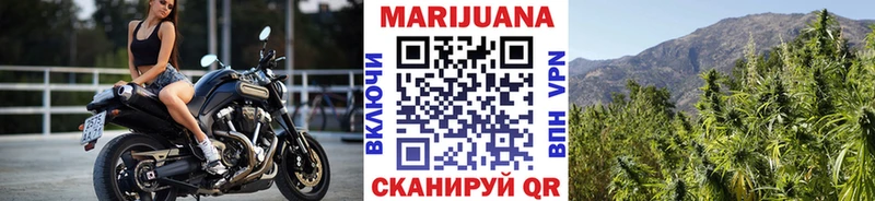 Бошки Шишки план  Купить  Алексин 